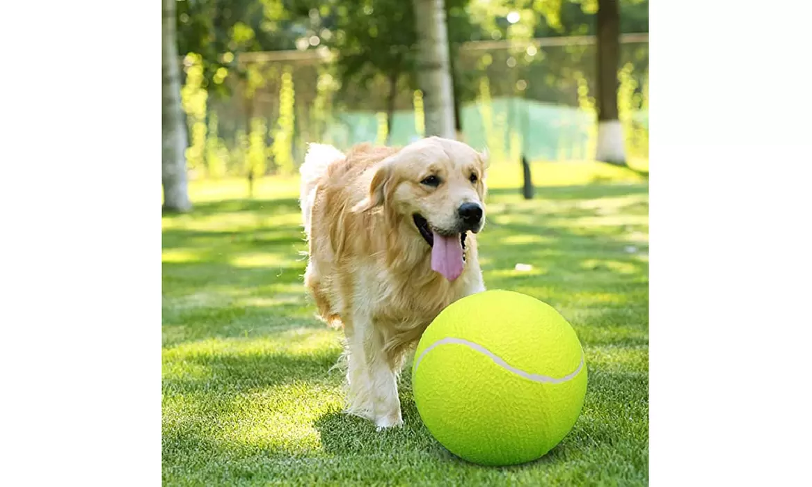 9.5" Oversize Giant Tennis Ball for Children Adult Pet Fun - Primary Image