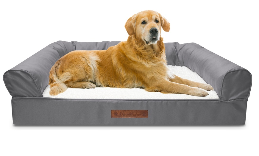 Wags and Whiskers Sofa-Style Orthopedic Pet Bed | Groupon