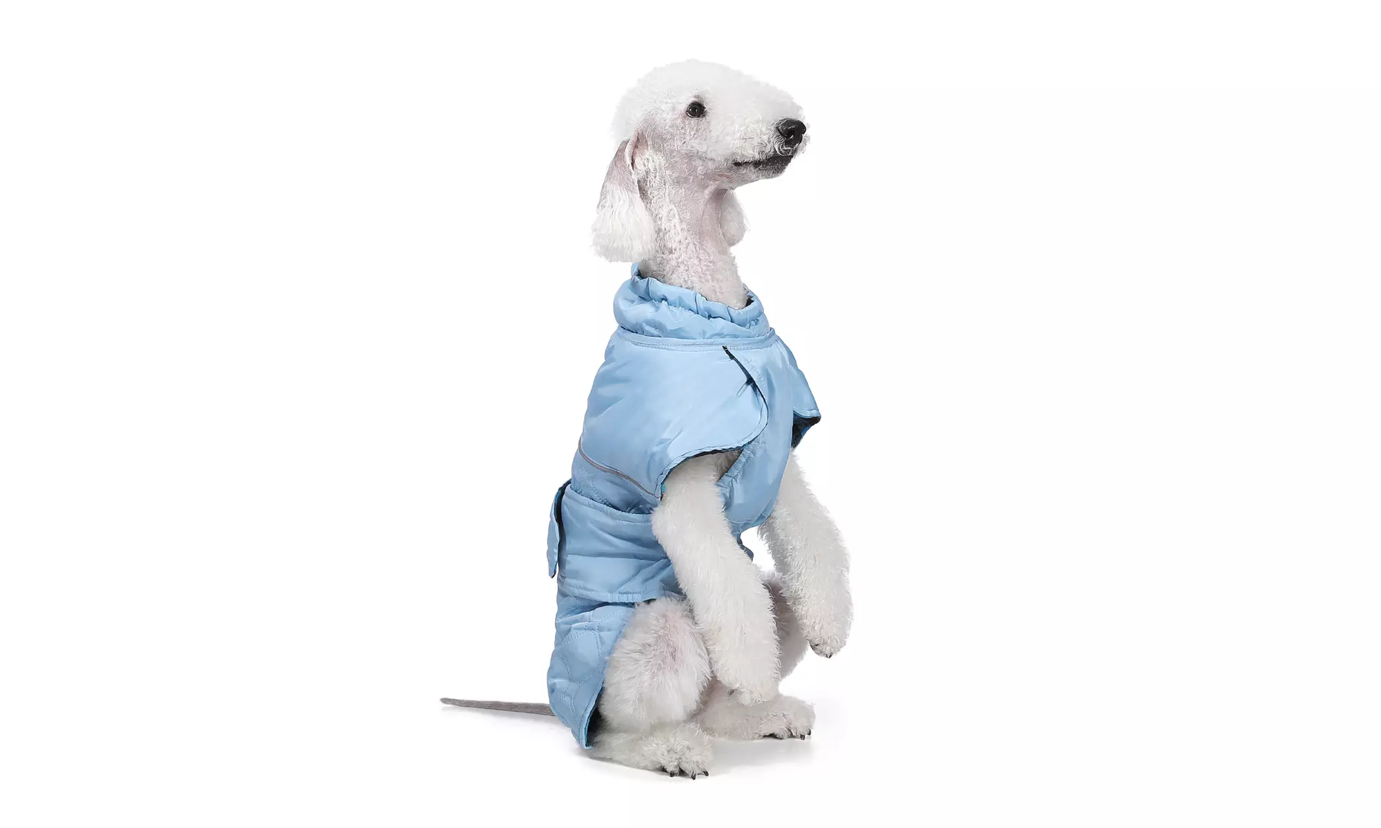 Water-Repellent Reversible Dog Winter Coat with Warm Secure Belt