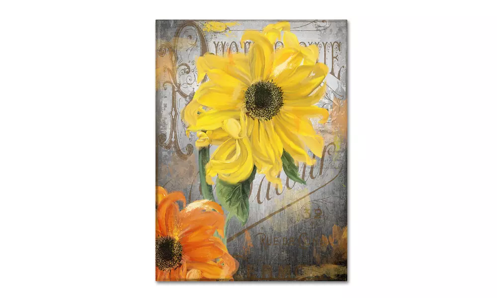 Color Bakery 'Sunflower Studio' Canvas Art - Primary Image