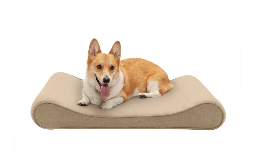 Up To 71% Off on Furhaven Memory Foam Orthoped... | Groupon Goods