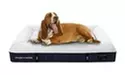 Stearns and Foster Large Urban Lounger  - Primary Image