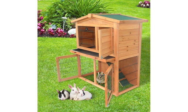 Groupon hotsell rabbit hutch