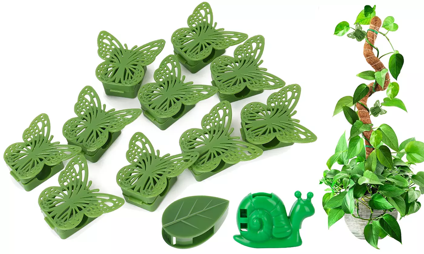 Plant Climbing Wall Fixture Clips Sticky Plant Wall Clips for Leaf Plant Support - Primary Image