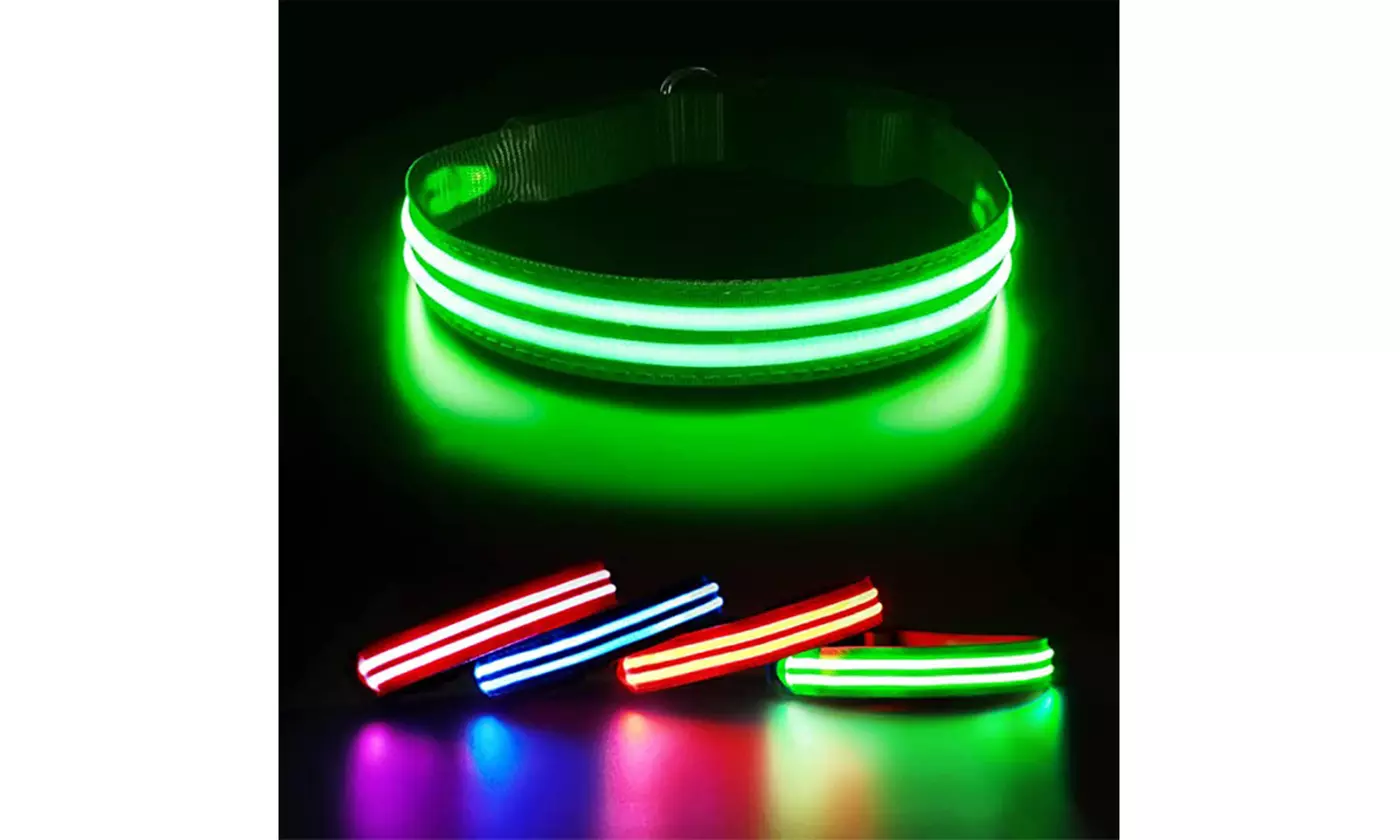 Flashseen LED Dog Collar,USB Rechargeable Light Up Dog Collar Lights,Adjustable - Primary Image