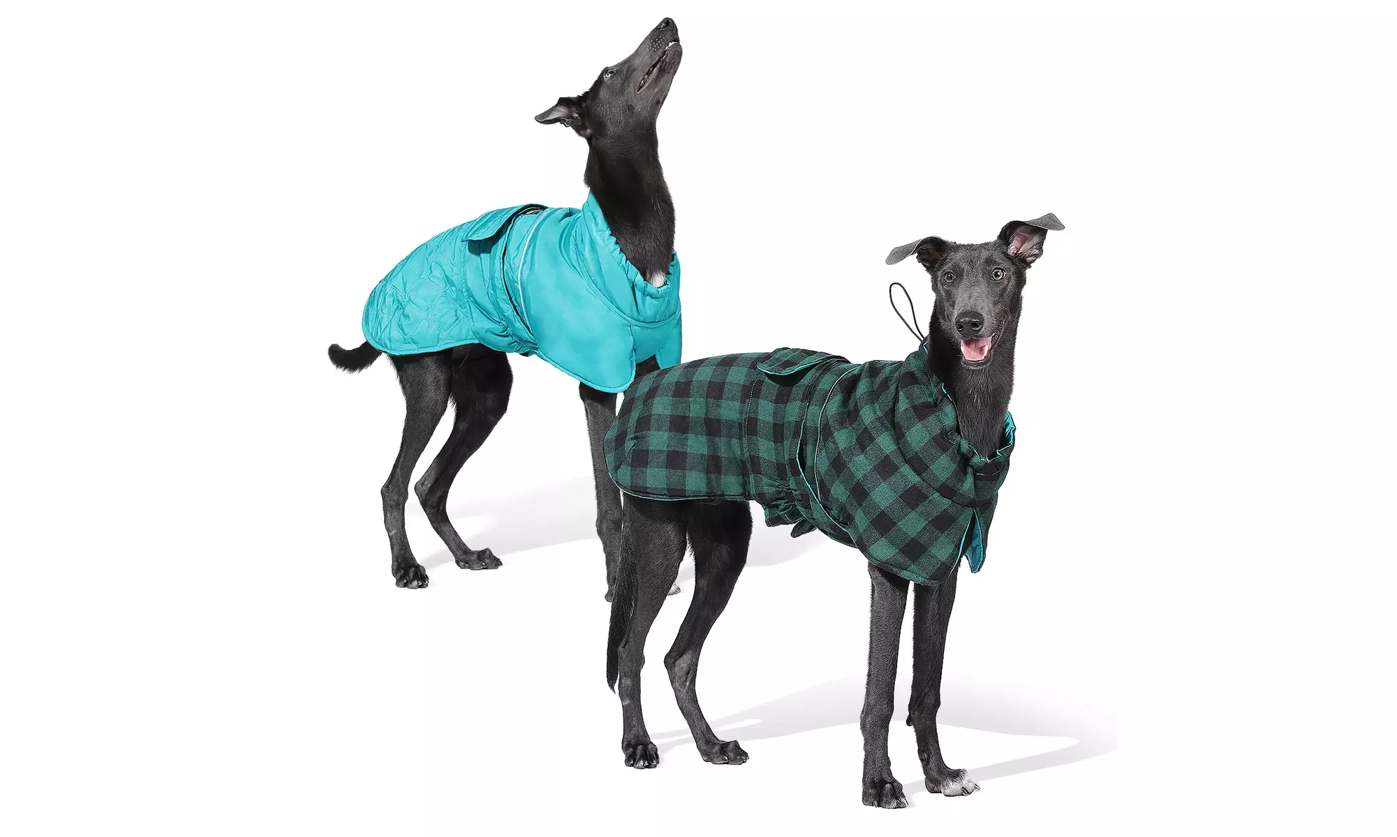 Water-Repellent Reversible Dog Winter Coat with Warm Secure Belt