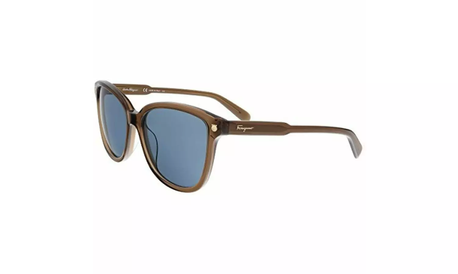 Salvatore Ferragamo Men's and women's 100% UV Protection Square Sunglasses - Primary Image