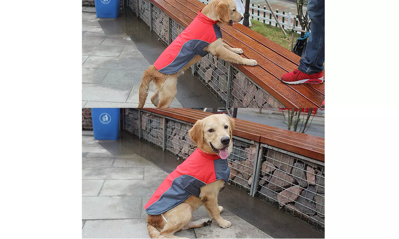 Waterproof Cold-proof Clothes Reflective Jackets for Pet Puppy Large Dog