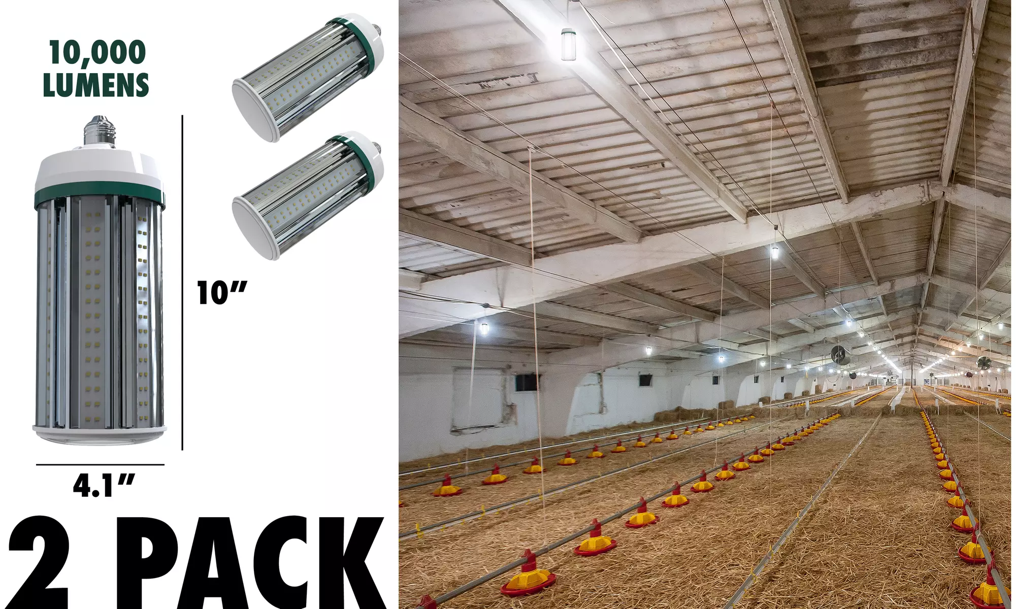 2 Pack - 10000 Lumen LED COB Bulb - Second Medium