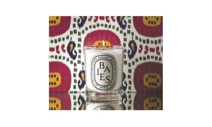 Diptyque Classic 6.7oz Scented Candles (Berries, 2-Pack) - Second Medium