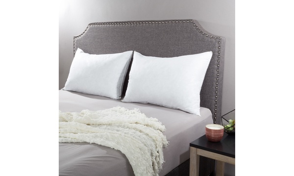 Groupon duck hotsell feather pillows