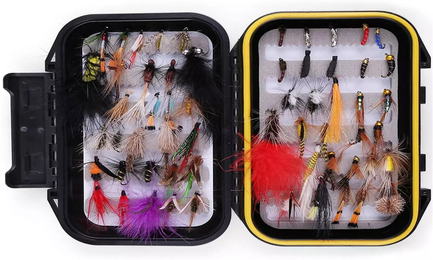 Fly Fishing Lures Kit with Tackle Box, Dry/Wet Flies,Nymph Flies - Primary Image