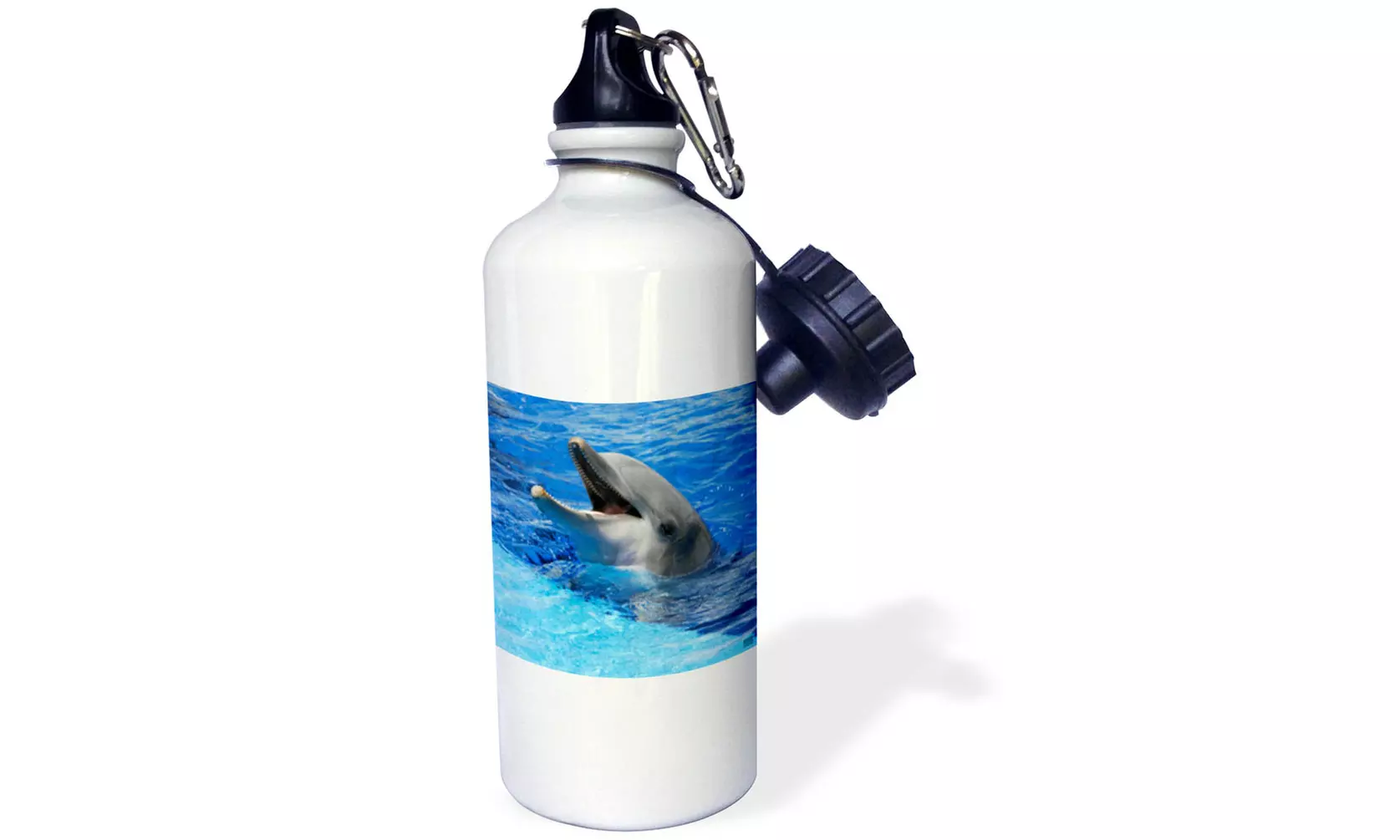  Water Bottle Dolphin with its mouth open at Oceanographic Aquarium in Valencia - Primary Image