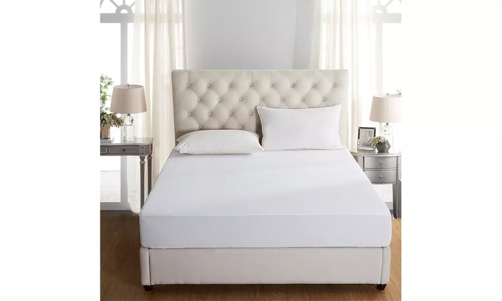 Bed Bug and Dust Mite Free Waterproof Mattress Protector (1-Pack) - Primary Image