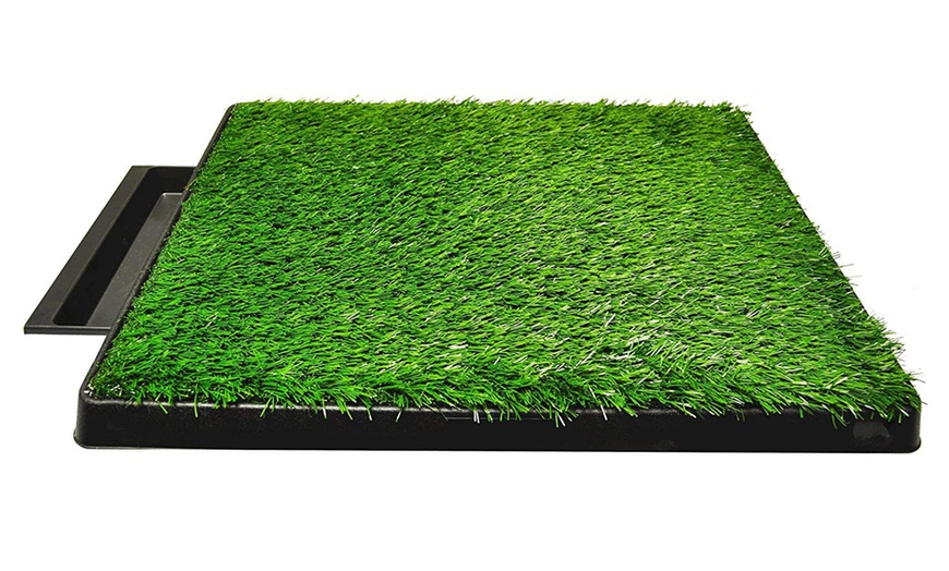 what happens if a dog urinates on artificial grass