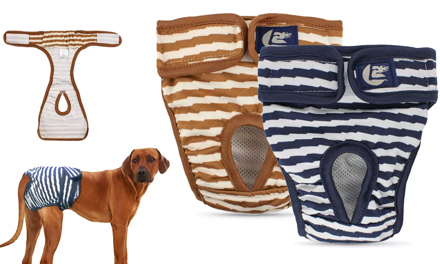 2 Pack Adjustable Washable Female Dog Diapers for Small Medium Dogs - Primary Image