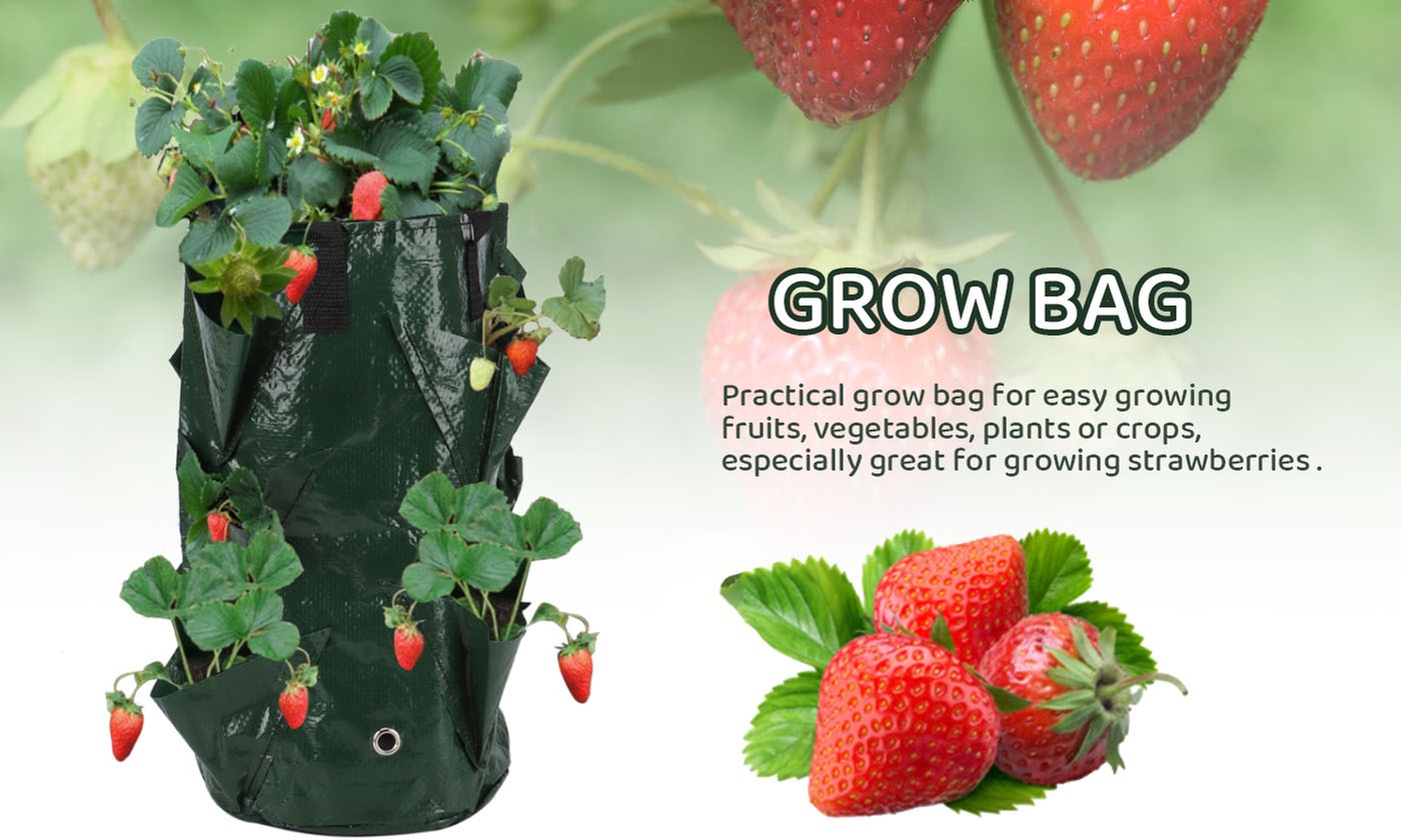 3 Gallon Strawberry Grow Bag Strawberry Plant Bag with 8 Side Planting Pockets
