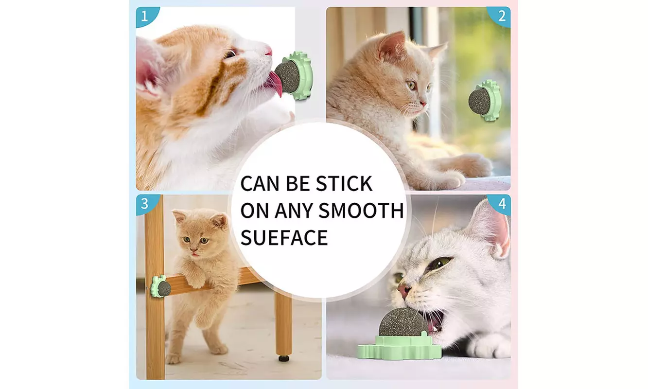3 Pack Wall Rotating Catnip Balls for Indoor Cat Snack Ball