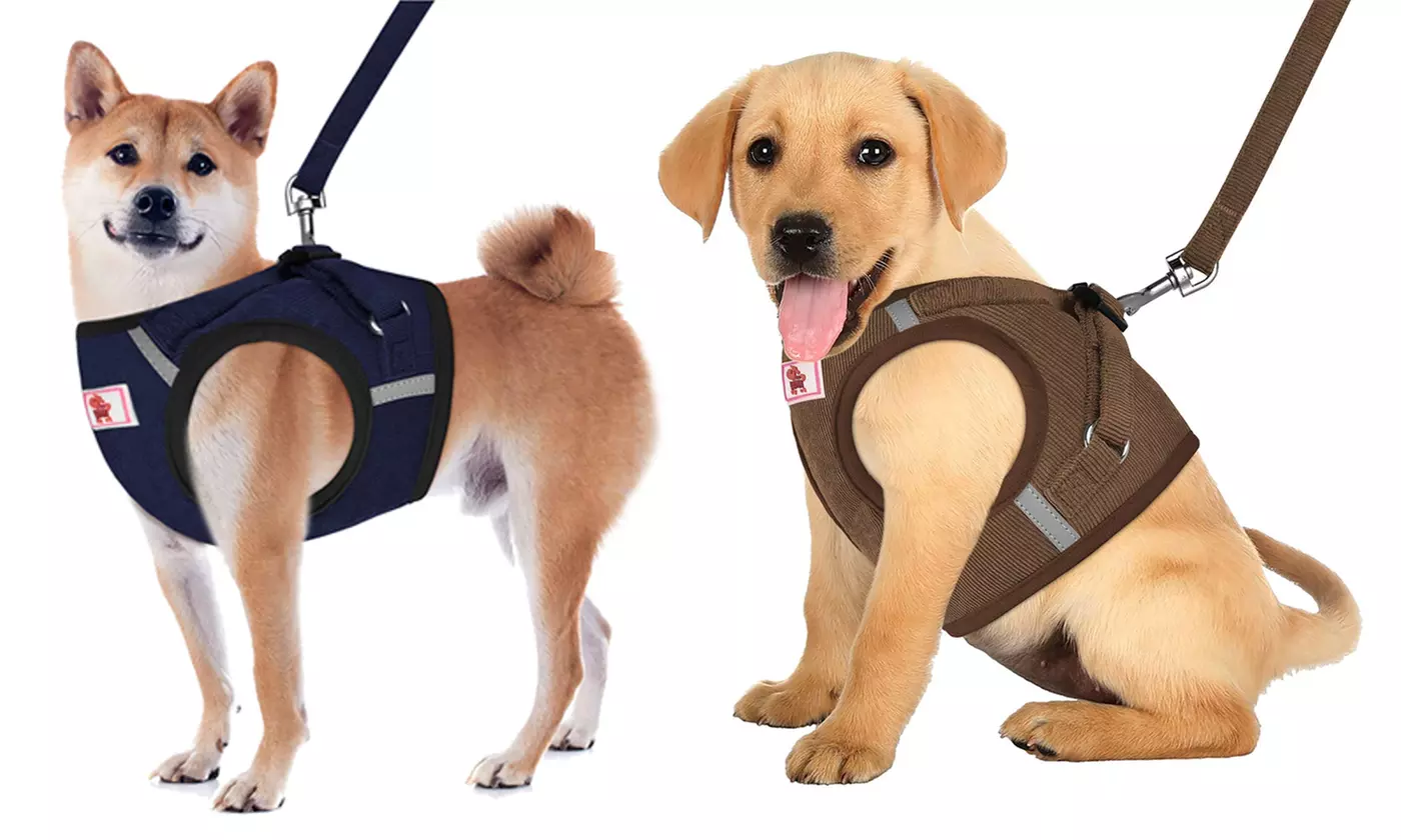 Windproof Reflective Dog Harness with Leash Set for Pet Walking