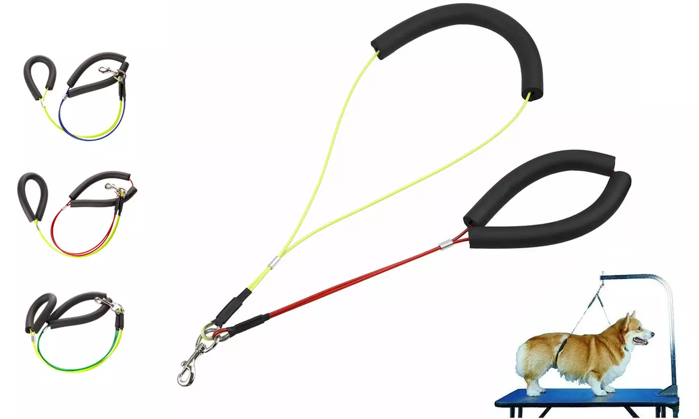 No-Sit Haunch Holder Dog Grooming Harness Leash Loop for Pet - Primary Image