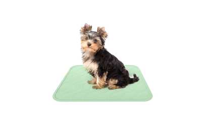 2 Pack Puppy Dog Pee Training Pads Reusable Washable Quick Absorb Small 17 x 20