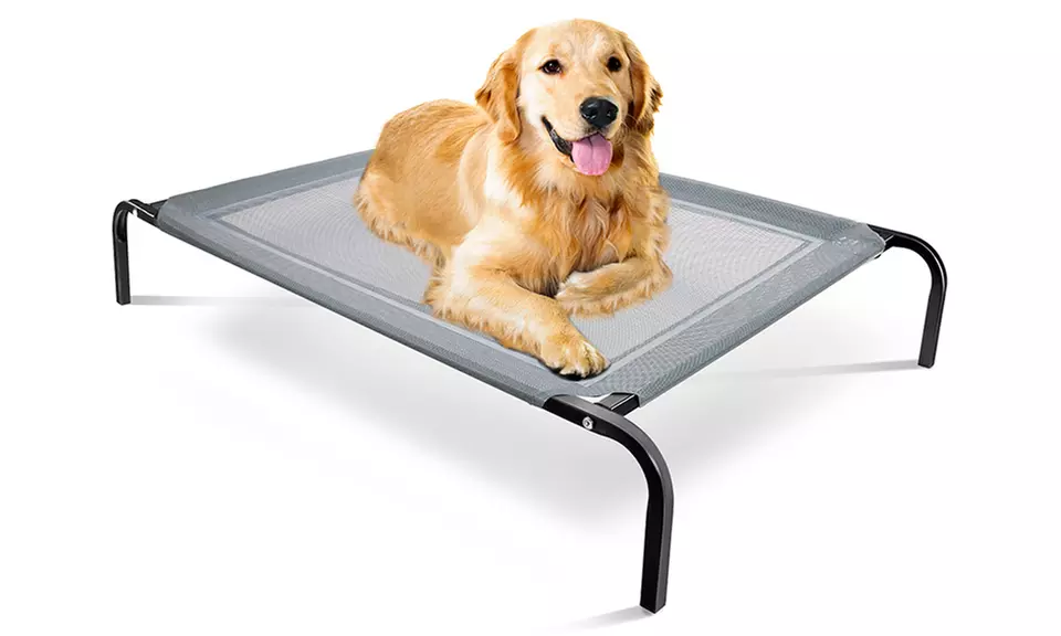 Paws & Pals Elevated Comfort Pet Bed - Steel Frame - Indestructable - Chew Proof - Primary Image