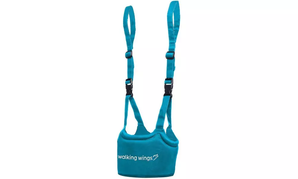 UPSPRING BABY Walking Wings Baby Learning to Walk Assistant - Primary Image