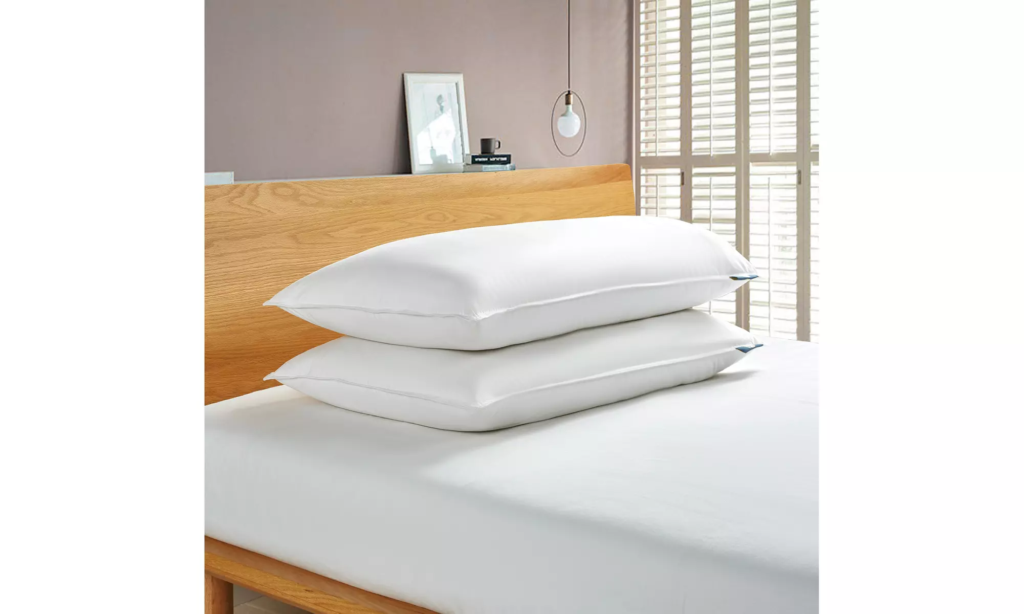 Serta Back-Sleeper White Goose Feather & Down Fiber Pillows (2-Pack)