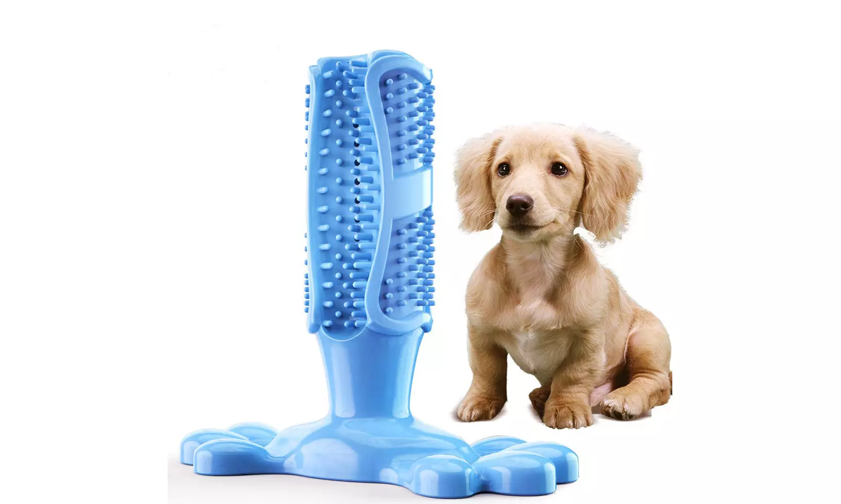 Dog Teeth Cleaning Toys Natural Rubber Dog Toothbrush Stick - Primary Image