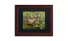 Jason Shaffer 'Box Turtle' Matted Wood Framed Art