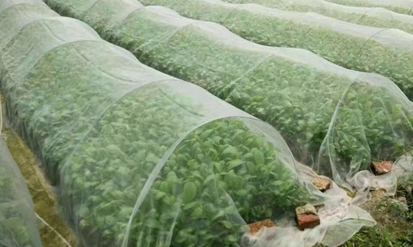 32 ftMosquito Bug Insect Pest Barrier Anti Bird Netting Plant Protective Mesh - Primary Image