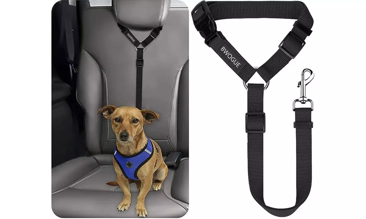 Dog Seatbelt Tether,Pet Seat ... | Groupon Goods