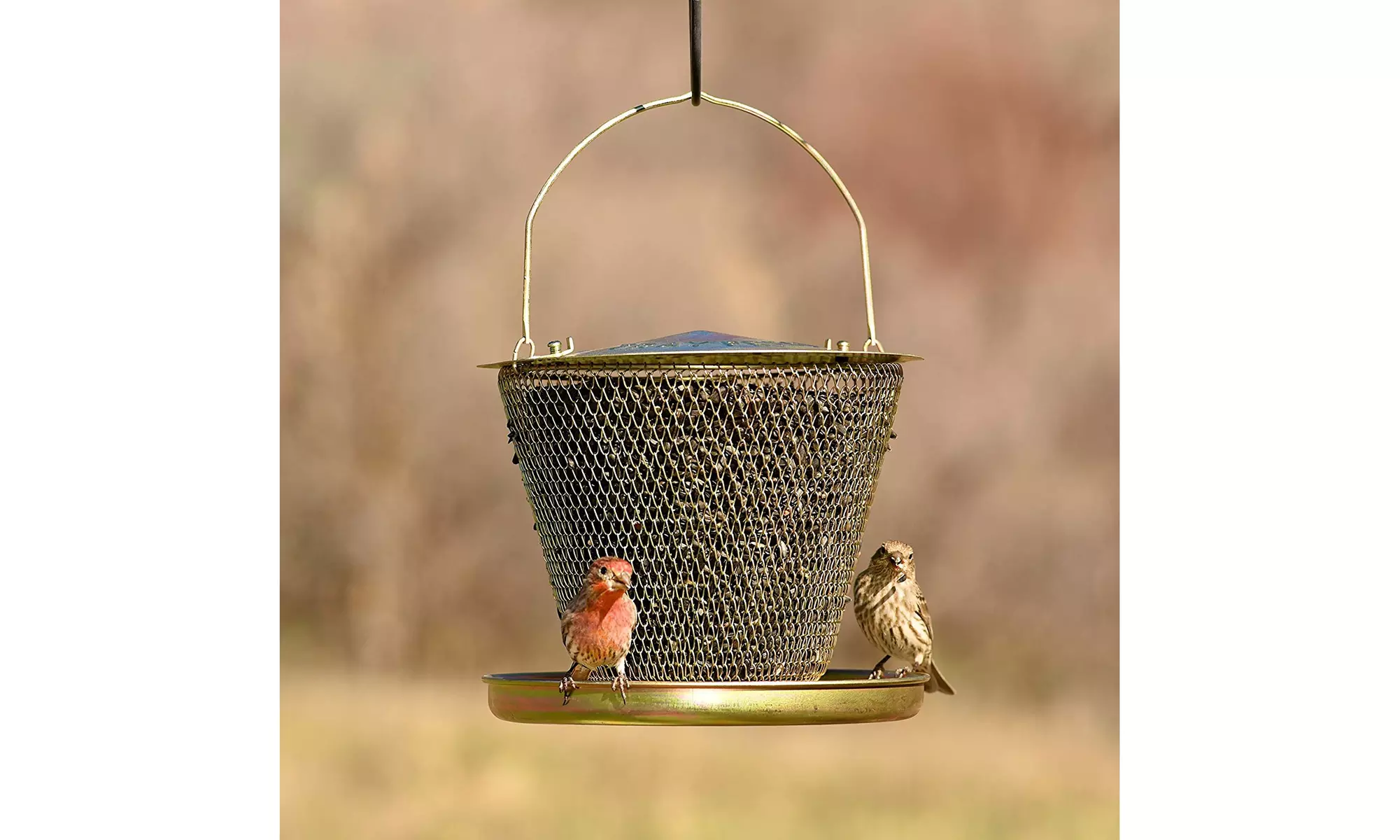 Perky-Pet UD00314 No/No Tray Wild Bird Feeder, Brass, 2.5 Lbs Seed Capacity - Primary Image