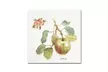 Lisa Audit 'Orchard Bloom I' Canvas Art - Second Medium