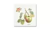 Lisa Audit 'Orchard Bloom I' Canvas Art