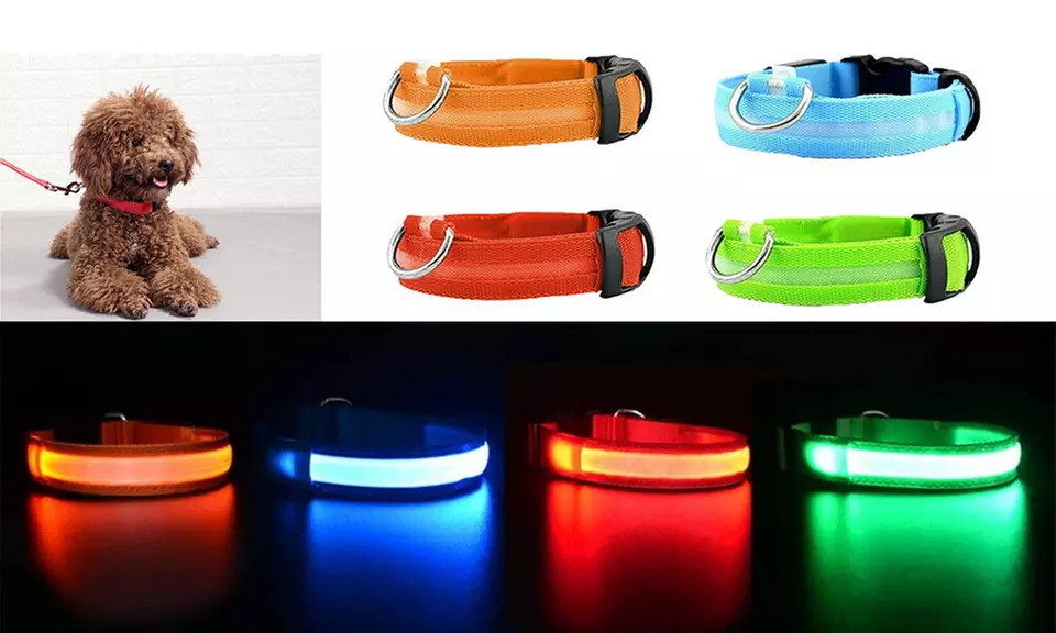 Safety LED Pet Dog Collar Nightlight - Primary Image