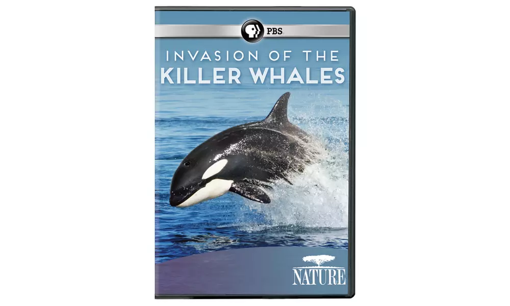NATURE: Invasion of the Kille | Groupon Goods