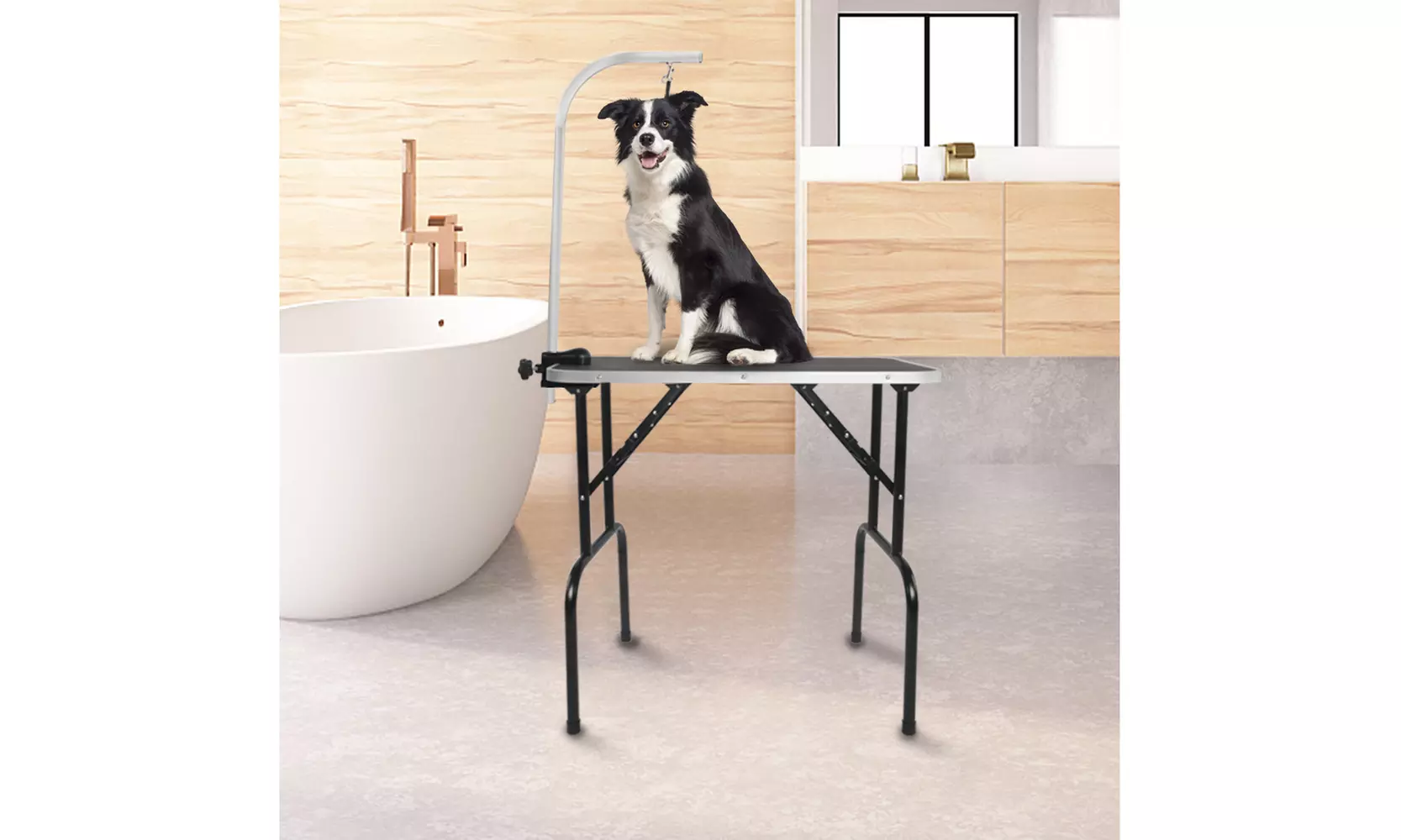 32" Foldable Pet Grooming Table with Adjustable Arm Black - Primary Image