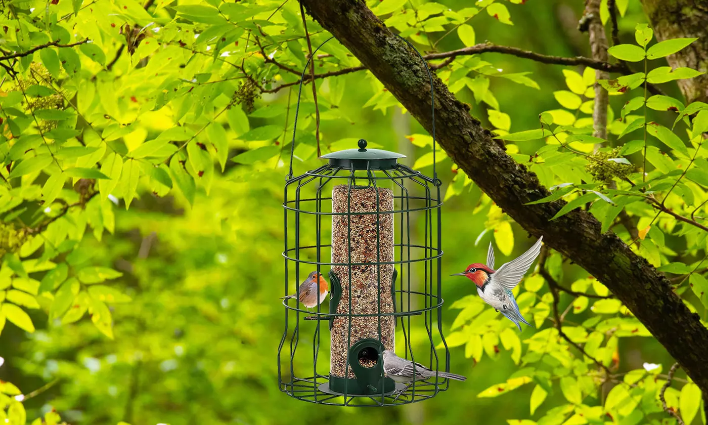 iMounTEK Hanging Wild Bird Feeders - Squirrel-Proof & 3-Tier Options