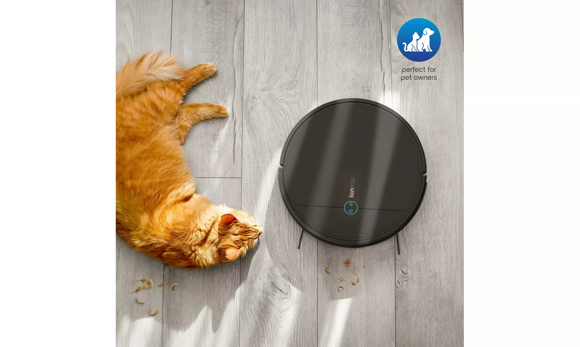 IonVac SmartClean V2, Smart Mapping Robot Vacuum with App/Remote Control, Black