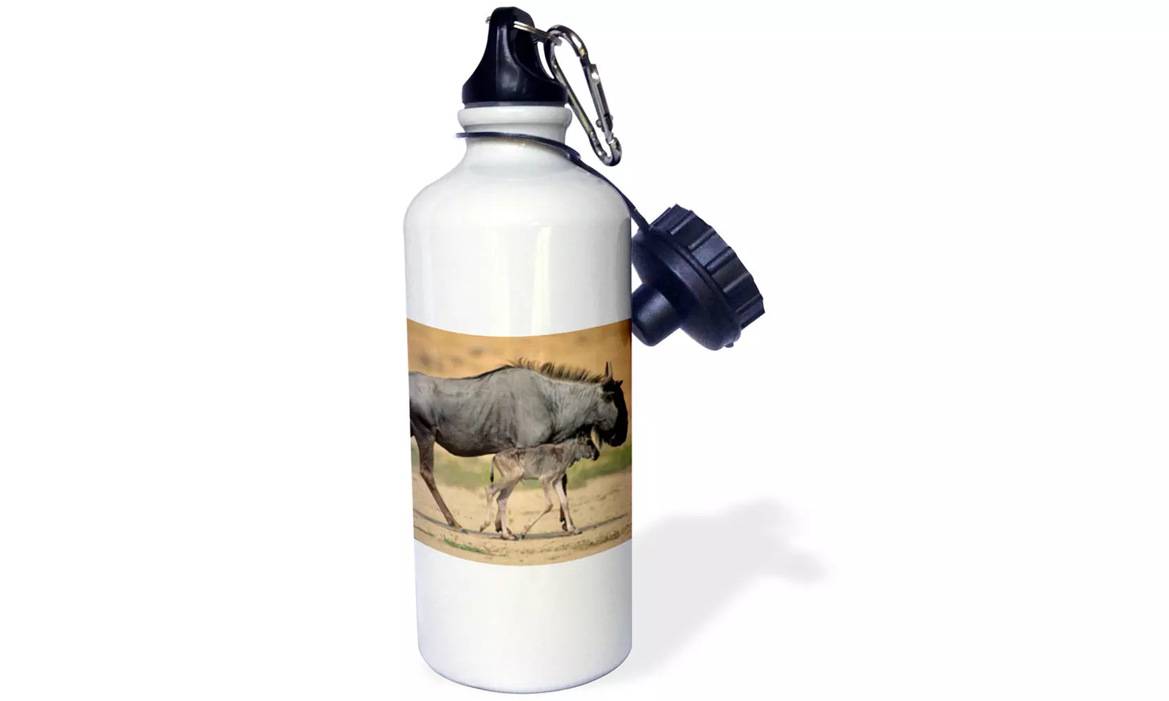Water Bottle Blue Wildebeest and calf, Kgalagadi, Kalahari Desert, South Africa - Primary Image