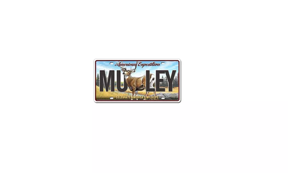 American Expedition Mule Deer License Plate - Primary Image