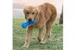 Dog Play Toys, Dog Bone IQ Toys with Massage Particles - Second Medium