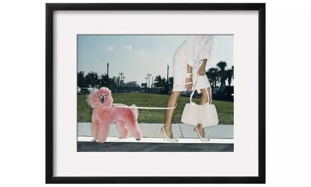 Pink Poodle by Arthur Belebeau - Primary Image