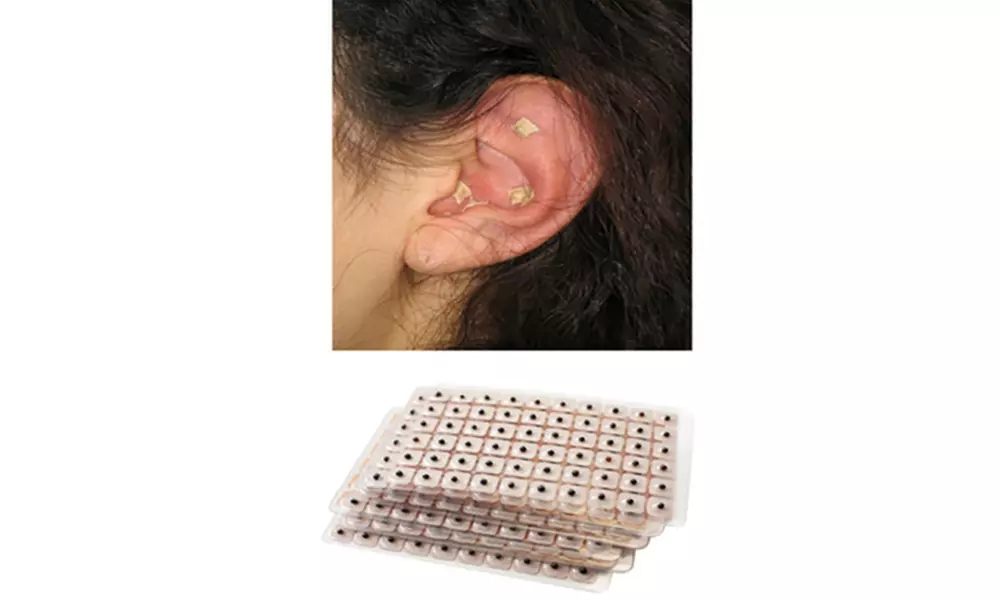 Auricular Therapy Vaccaria Ear Seeds 600 Pack ( Helps Quit Smoking/Lose Weight ) - Primary Image