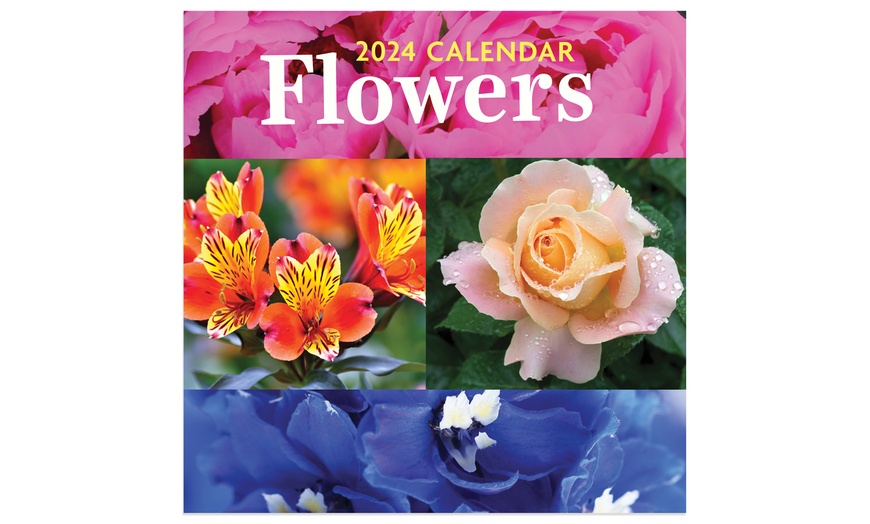 January 2024December 2024 Mini Wall Calendar Groupon