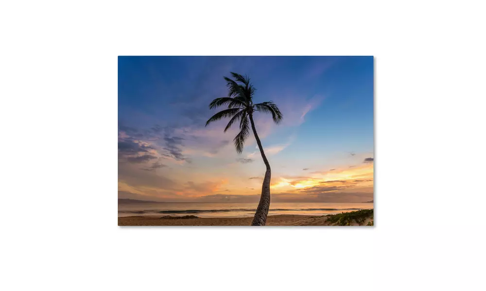 Pierre Leclerc 'Sunset Palm Tree' Canvas Art - Second Medium