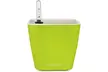 Window Garden Aquaphoric Self Watering Planter (5in) ,Fiber Soil - Second Medium