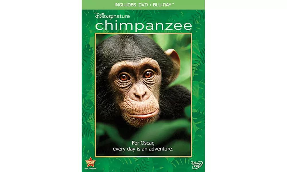 Disneynature: Chimpanzee - Primary Image