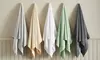 Soft Cotton Quick-Dry Everyday Towel Set